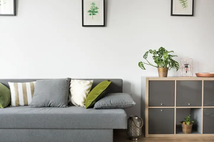 Cozy couch in bright apartment